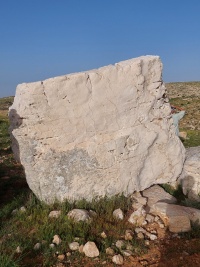אבן-אביגיל 4.4.22 קו-עוזי-אביגיל כ.טיצר.jpeg