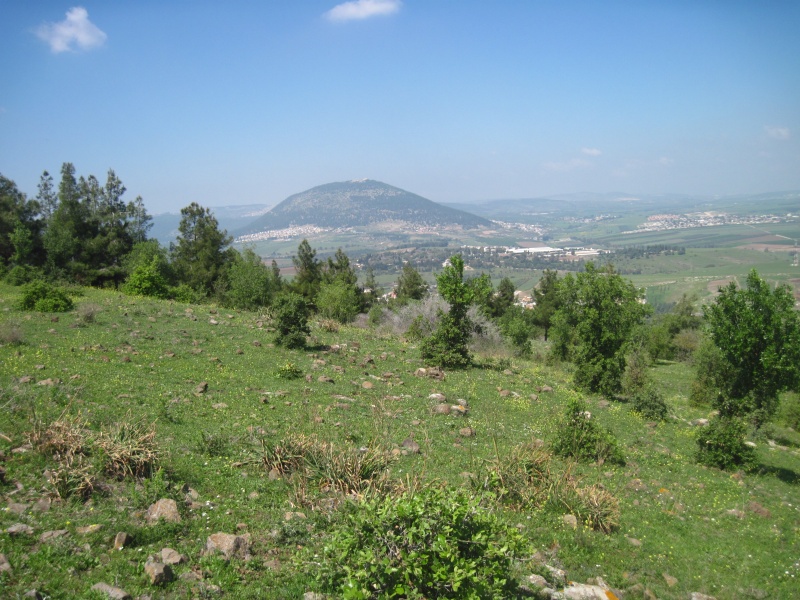 קובץ:גבעתגזיתתבור.JPG