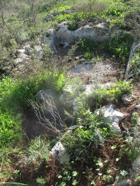 קובץ:גתחשמונאים.jpg