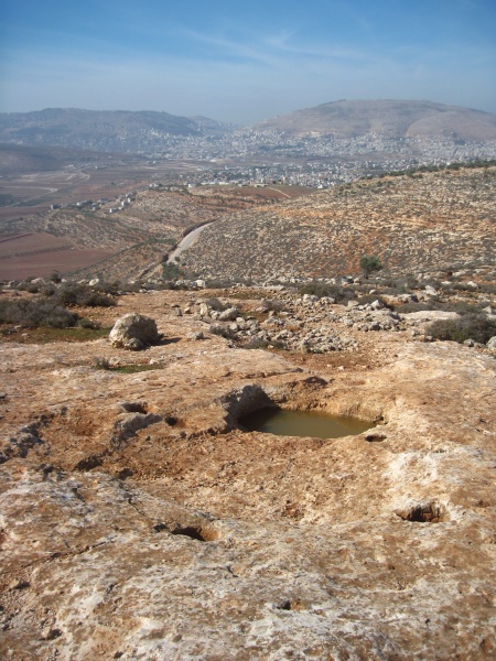 קובץ:גת7ספלול.JPG