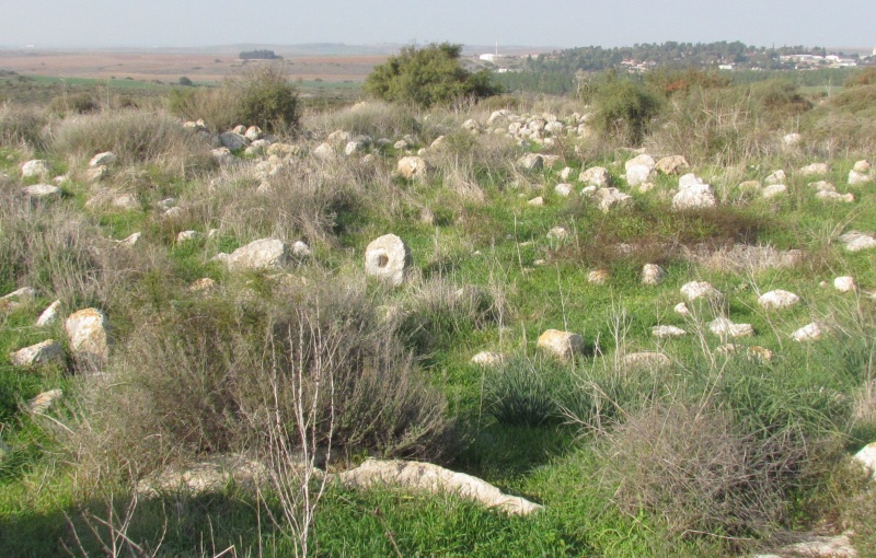 קובץ:חרבת שמסניאת.JPG