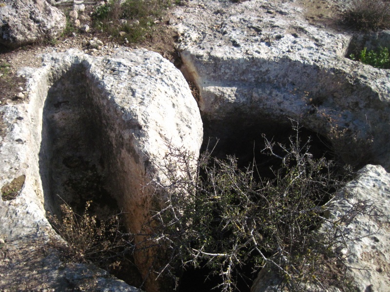 קובץ:מדרגותביתאיכא.JPG