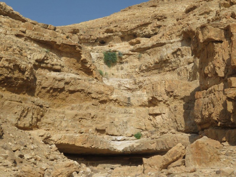 קובץ:מפלעמוס.jpg