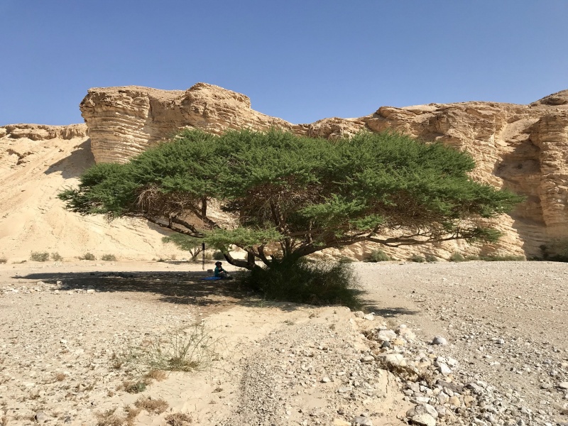 קובץ:שיטה צומת צוקים.jpg