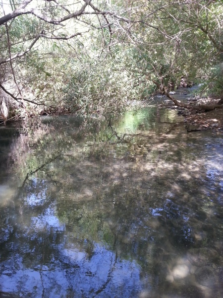 קובץ:2014.09.27-143819.910.android.jpg