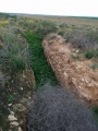 תמונה ממוזערת לגרסה מתאריך 14:21, 10 בפברואר 2016