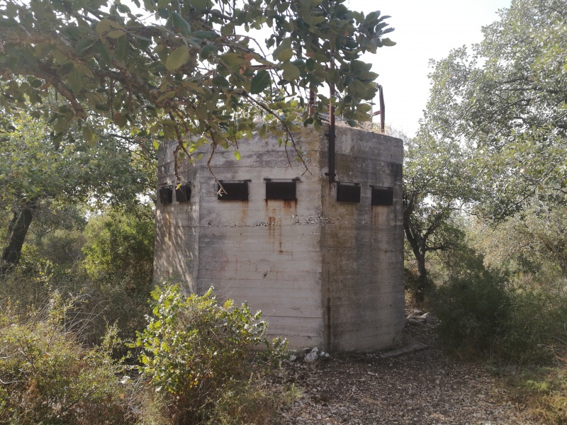 קובץ:2016.08.27-100147.005.android.jpg