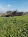 תמונה ממוזערת לגרסה מתאריך 07:30, 21 בינואר 2018