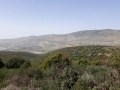 תמונה ממוזערת לגרסה מתאריך 00:59, 30 במרץ 2018