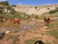 תמונה ממוזערת לגרסה מתאריך 01:09, 25 במאי 2018