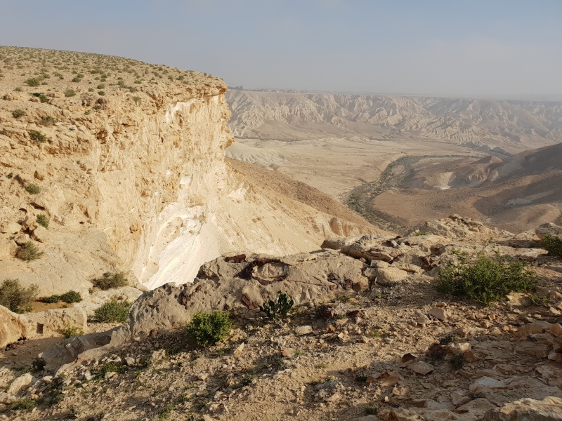 קובץ:2019.03.20-090423.327.android.jpg