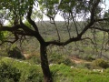 תמונה ממוזערת לגרסה מתאריך 06:43, 11 באפריל 2019