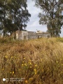 תמונה ממוזערת לגרסה מתאריך 16:39, 15 באפריל 2019