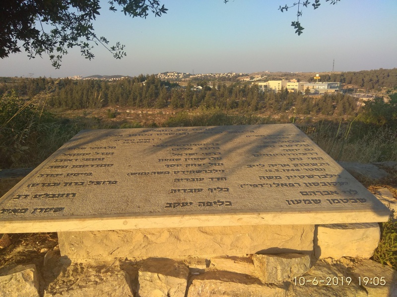 קובץ:2019.06.10-200603.848.android.jpg