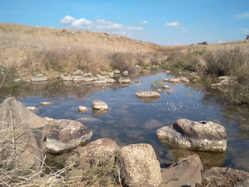 קובץ:2019.11.29-132959.566.android.jpg