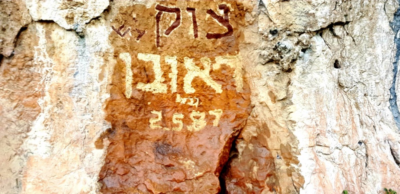 קובץ:2020-04-18T15 58 52.554341216555.jpg