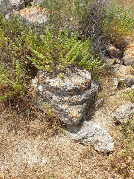 קובץ:2021-04-24T13 49 04.064980564715.jpg