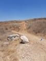 תמונה ממוזערת לגרסה מתאריך 07:51, 17 בספטמבר 2021