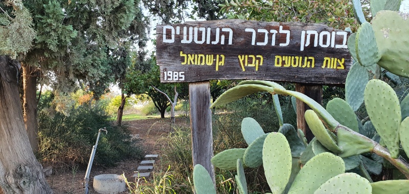 קובץ:2021-12-10T15 09 06.463750548130.jpg