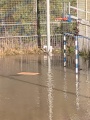 תמונה ממוזערת לגרסה מתאריך 08:25, 21 בדצמבר 2021