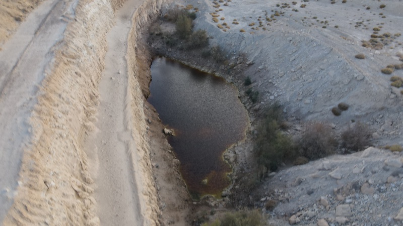 קובץ:2022-03-13T20 30 59.346605631532.jpg