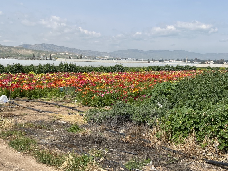 קובץ:2022-03-17T10 22 32.01231341450.jpg