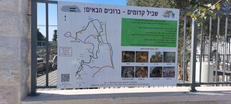 קובץ:2022-04-03T09 12 36.824854782709.jpg