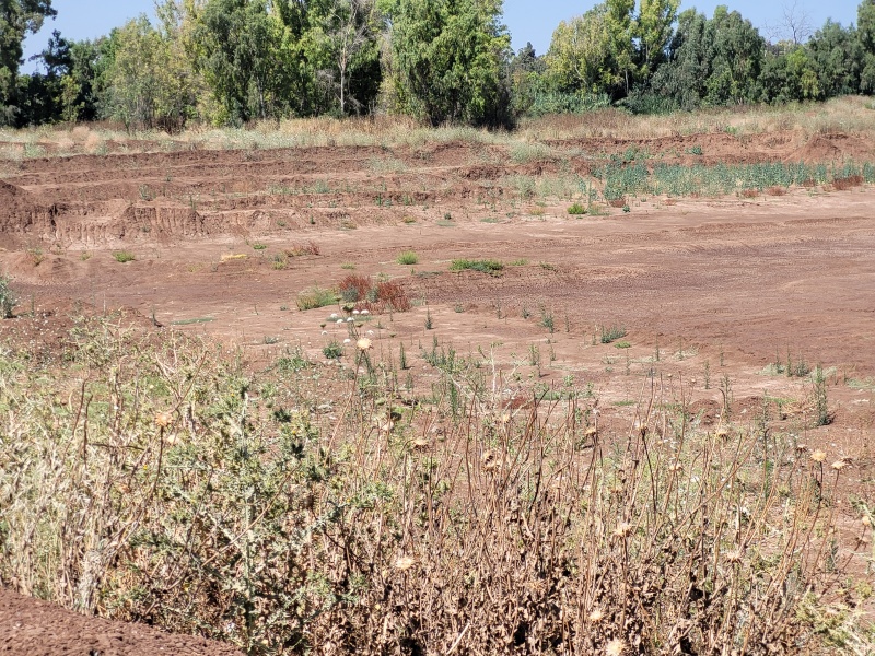 קובץ:2022-06-10T10 06 31.704859989428.jpg