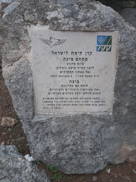 קובץ:2022-12-07T19 48 35.899893760949.jpg