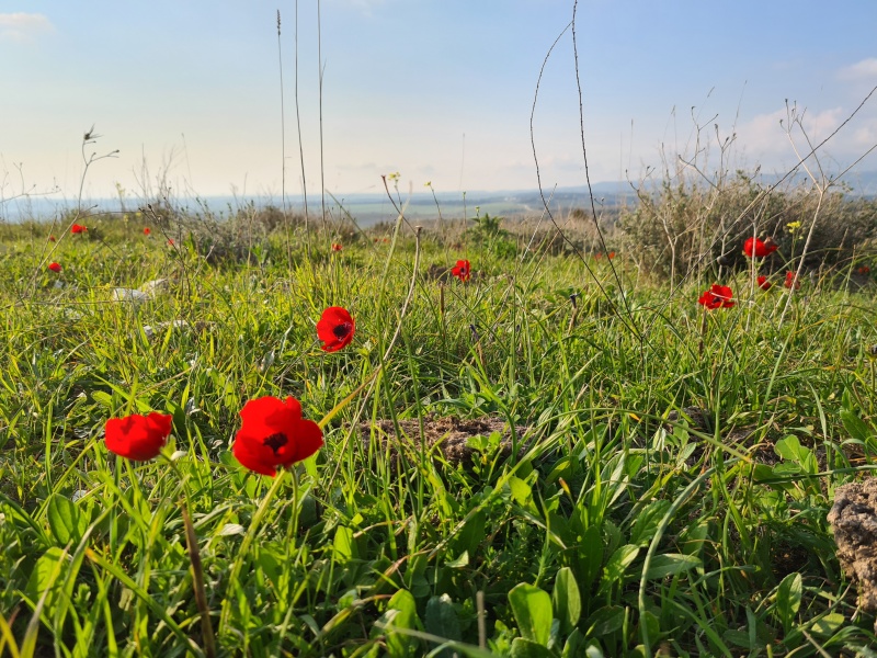 קובץ:2023-02-25T15 58 47.570504255703.jpg