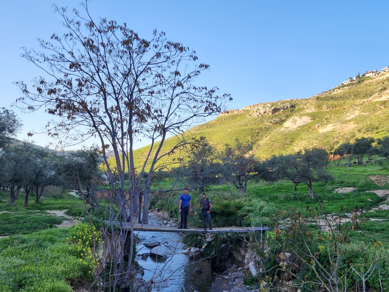 קובץ:2023-03-17T07 07 21.167520335764.jpg