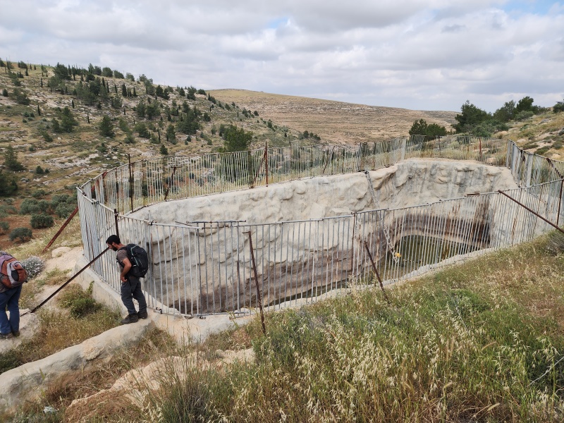 קובץ:2023-04-28T09 44 45.863209439052.jpg