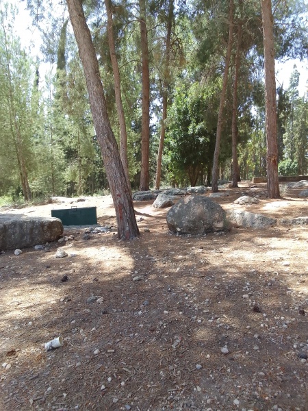 קובץ:2023-05-04T11 33 09.512761403635.jpg