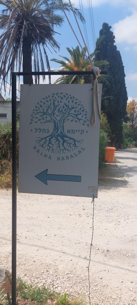 קובץ:2023-05-09T10 29 13.669890828208.jpg