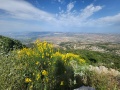 תמונה ממוזערת לגרסה מתאריך 07:27, 9 ביוני 2023