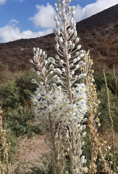 קובץ:2023-09-10T10 14 06.886238443835.jpg