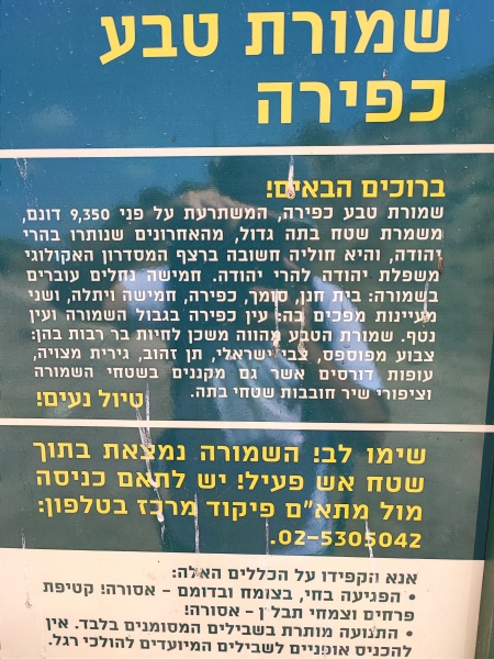 קובץ:2023-09-20T13 35 35.543976372774.jpg