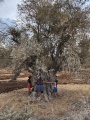 תמונה ממוזערת לגרסה מתאריך 08:37, 2 באוקטובר 2023