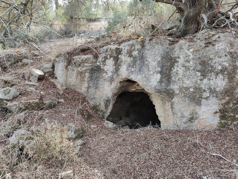 קובץ:2023-10-02T13 50 50.486205557706.jpg