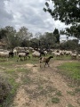 תמונה ממוזערת לגרסה מתאריך 19:34, 8 בפברואר 2024