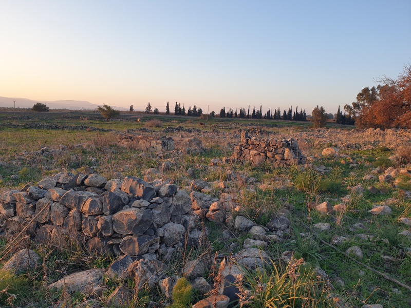 קובץ:2023-12-19T16 17 38.918816980585.jpg