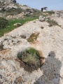 תמונה ממוזערת לגרסה מתאריך 14:40, 6 בפברואר 2024