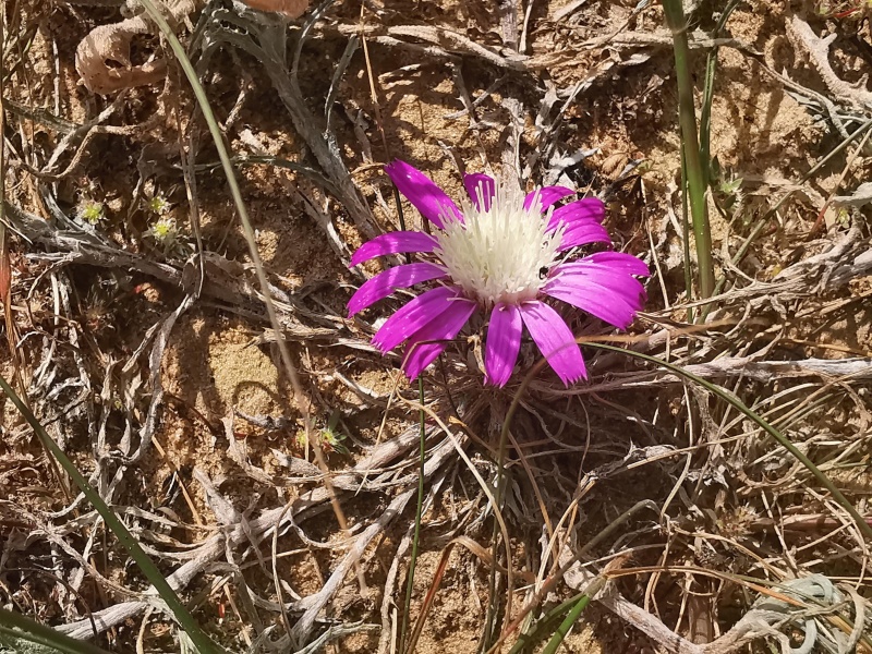 קובץ:2024-02-10T11 19 42.577471901370.jpg