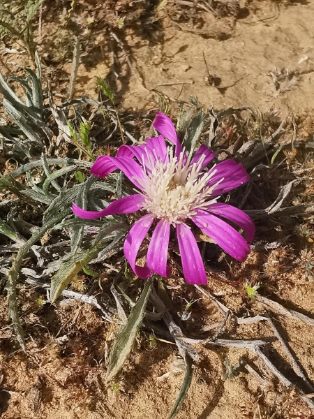 קובץ:2024-02-10T11 19 54.648641350512.jpg