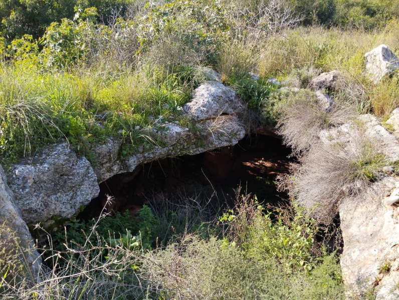 קובץ:2024-02-10T15 14 01.795579636367.jpg