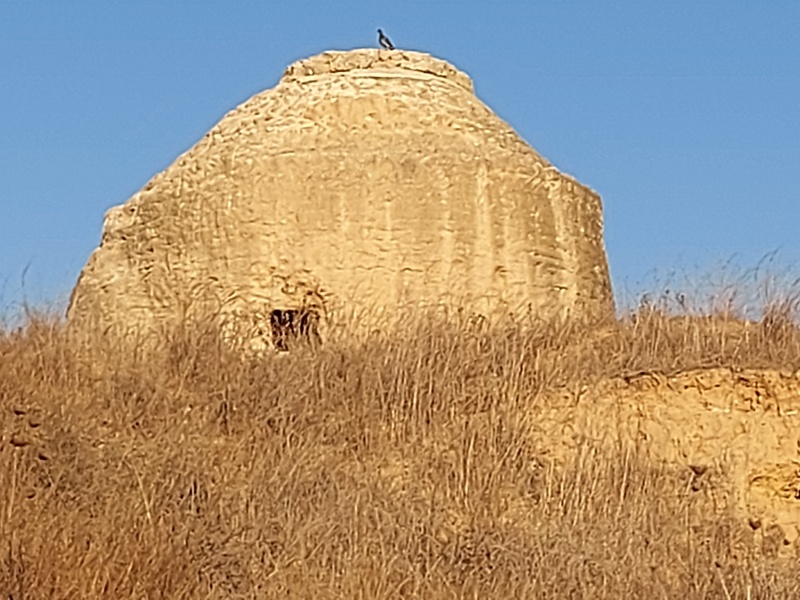 קובץ:2024-08-10T07 28 35.649914900718.jpg