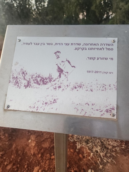 קובץ:2024-09-17T18 51 15.498062717448.jpg