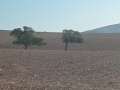 תמונה ממוזערת לגרסה מתאריך 09:14, 26 בספטמבר 2024