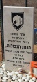 תמונה ממוזערת לגרסה מתאריך 10:22, 29 בספטמבר 2024