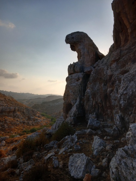 קובץ:2024-11-03T06 59 10.000543873257.jpg